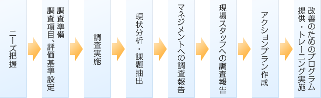 ニーズ把握→調査準備・調査項目、評価基準設定→調査実施→現状分析・課題抽出→マネジメントへの調査報告→現場スタッフへの調査報告→アクションプラン作成→改善のためのプログラム提供・トレーニング実施